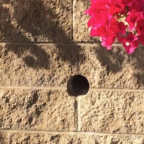 Wall drainage hole drilling