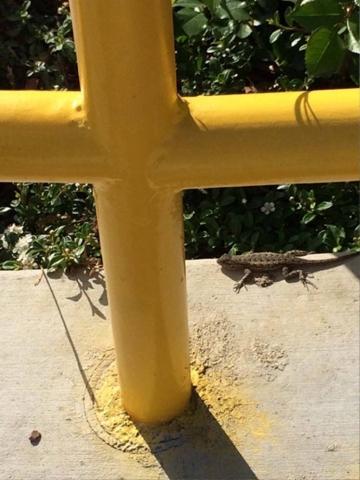 Handrail installation
